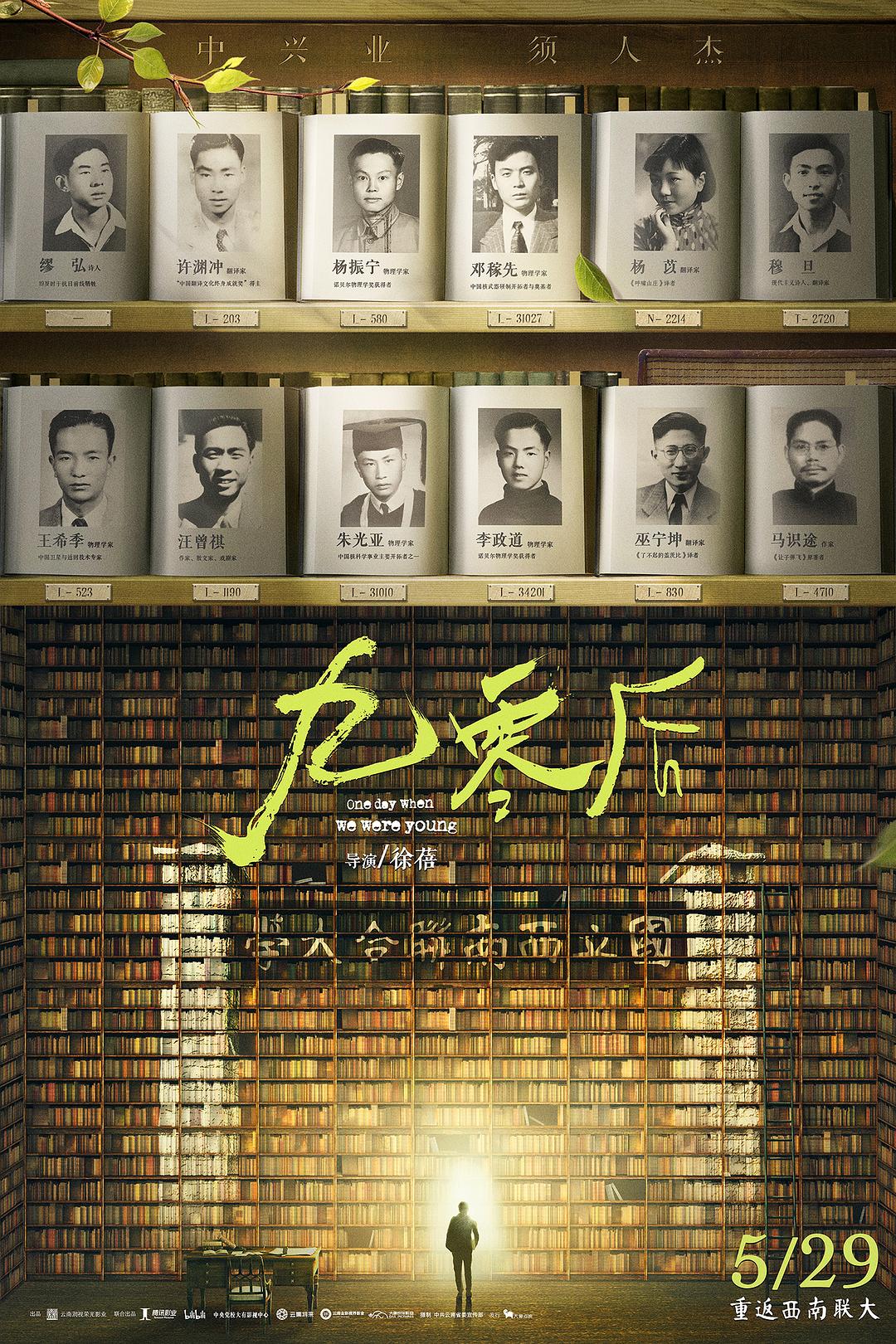 高分纪录片《九零后》HD国语中文字幕观看完整版下载